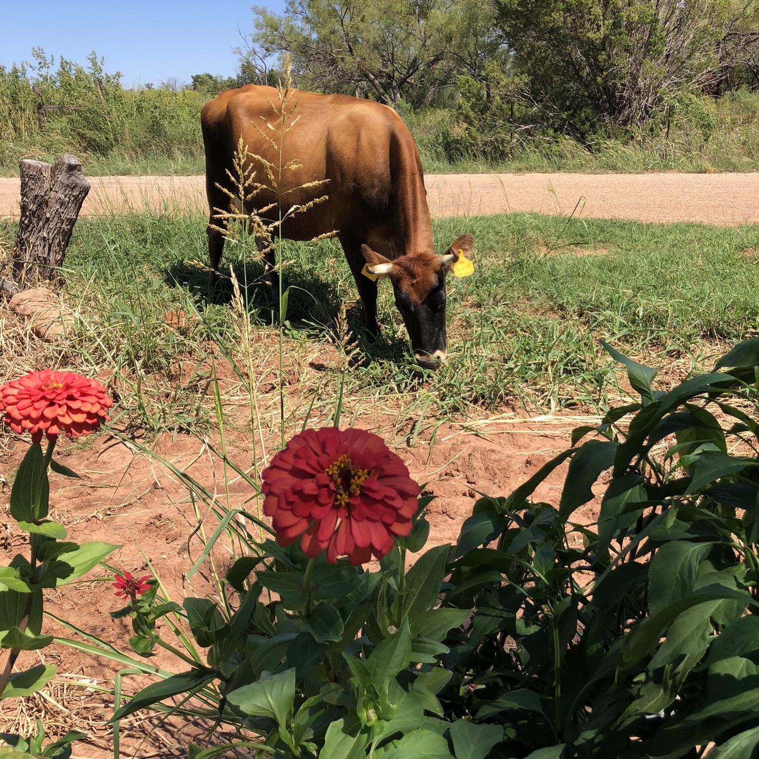 2023 at the Farm: 5 Highlights from Our Regenerative Farm